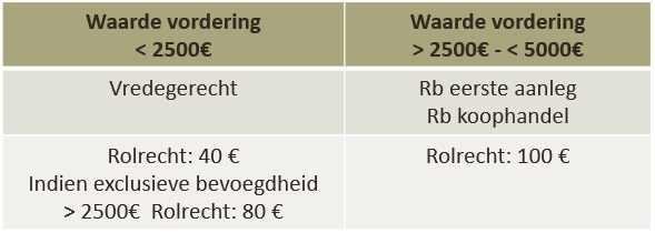 Procedure rechtbank eerste aanleg